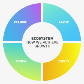 Influent-ecosystem - Circle, HD Png Download, Free Download