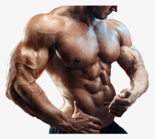 Biceps Bodybuilding, HD Png Download, Free Download