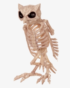 Halloween Owl Skeleton, HD Png Download, Free Download