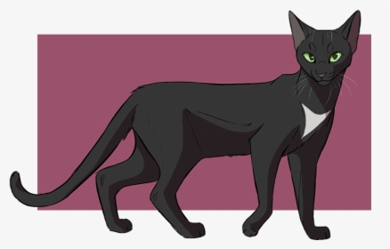 Black Cat Warriors Kitten Drawing - Warrior Cats Black Cat, HD Png Download, Free Download