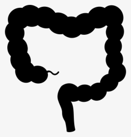 Intestine - Large Intestine Vector Png, Transparent Png, Free Download