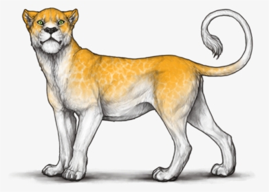 Sq7hfrg - Lioden Chatoyant, HD Png Download, Free Download