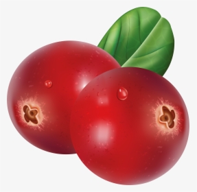 Red Cranberries Transparent Png Clip Art Image​ - Plum Hd, Png Download, Free Download