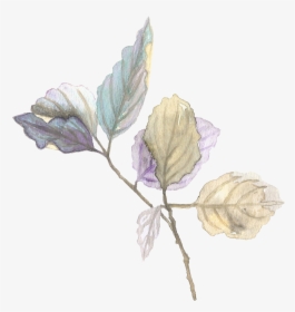 Leaf Branch Png, Transparent Png, Free Download