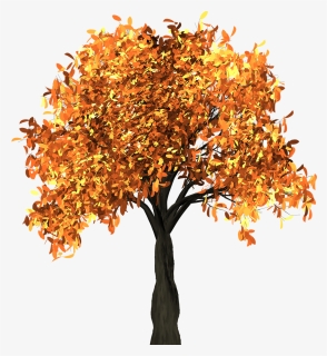 Tree, Leaves, Autumn, Fall, Branches, Isolated, Nature - Autumn Tree Clipart Png, Transparent Png, Free Download