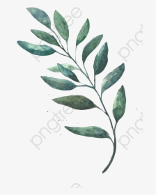 Leaves Clipart Green Leaf Transparent Background - Watercolor Leaves Transparent Background, HD Png Download, Free Download