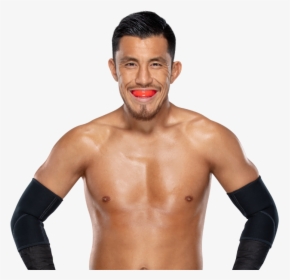 Transparent Akira Tozawa Png - Wwe Akira Tozawa Png, Png Download, Free Download