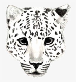 Amur Leopard Drawing - Easy Drawing Of Snow Leopard, HD Png Download, Free Download