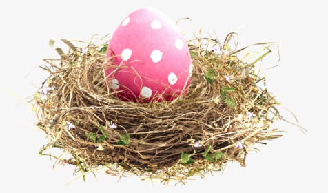 Easter Transprent Png Free Download Egg - Nest, Transparent Png, Free Download