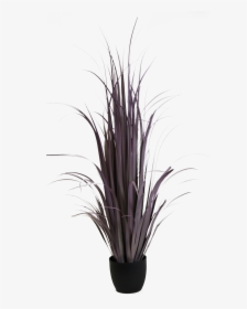 Transparent White Grass Png - Grass, Png Download, Free Download
