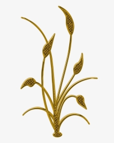 Flora Abstract Shape, Elegant Lillies Design - Illustration, HD Png Download, Free Download