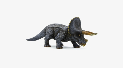 Triceratops Realistic, HD Png Download, Free Download