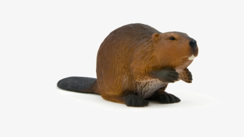 Animal Planet Beaver - اسباب بازی سگ ابی, HD Png Download, Free Download