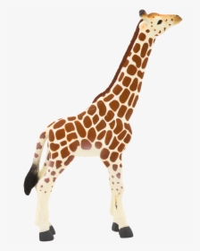 Giraffe Calf Png, Transparent Png, Free Download