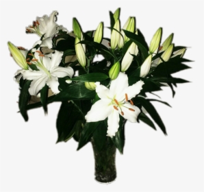 #lillies By Angey Cummins, HD Png Download, Free Download
