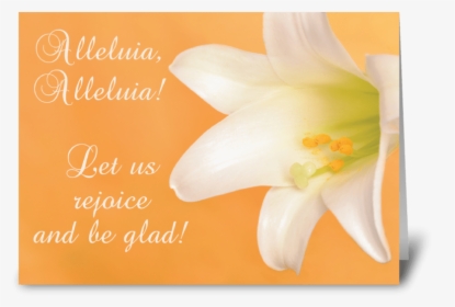 Easter Joy And Blessings Alleluia Lily Greeting Card - Lily, HD Png Download, Free Download