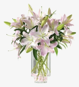Oriental Lily In Glass Vase, HD Png Download, Free Download