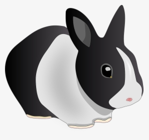 Rabbit, Animal, Black And White, Bunny, Pet, Ears - Rabbit Clip Art, HD Png Download, Free Download