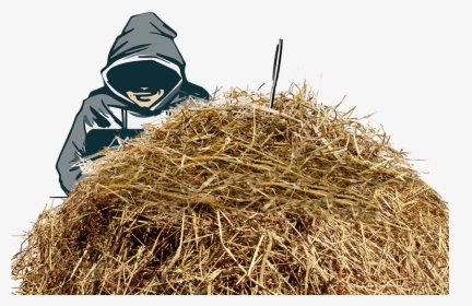Hay Clipart Of Straw, HD Png Download, Free Download