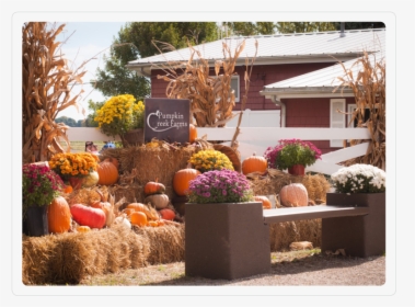 Benches - Yard, HD Png Download, Free Download