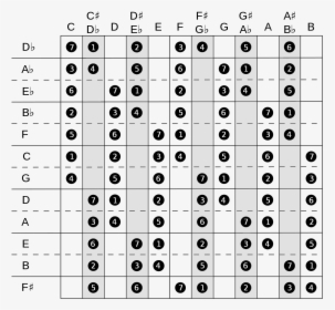 Transparent Scale Pattern Png - Ableton Scale Cheat Sheet, Png Download, Free Download