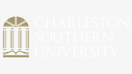 Transparent Strayer University Logo Png - Spiegel Online, Png Download, Free Download
