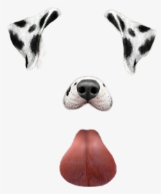 #dog #snapchat #puppy #filter #cool #love #beauty #beautiful - Filtros De Snapchat Perro, HD Png Download, Free Download