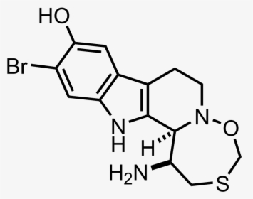 Synthesis Of Yohimbine, HD Png Download, Free Download