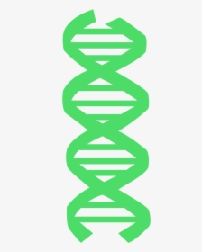 Pink Dna, HD Png Download, Free Download