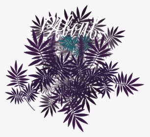 About - Illustration, HD Png Download, Free Download