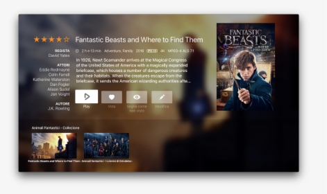 Fantastic Beasts And Where To Find Them Png, Transparent Png, Free Download
