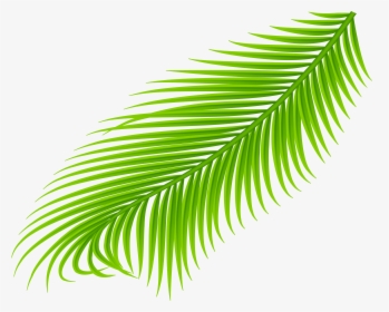 Clip Art Palm Branch Clipart, HD Png Download, Free Download