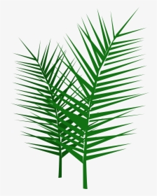 Palm Sunday Palm Branch, HD Png Download, Free Download