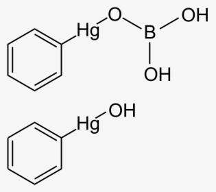 1 '- Acetoxychavicol Acetate, HD Png Download, Free Download