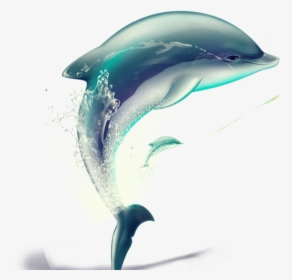 Vector Hand-painted Dolphin Png Download - Water Animals Images Png, Transparent Png, Free Download