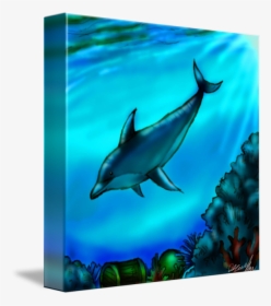 Collection Of Free Dolphin Drawing Underwater Download - Common Bottlenose Dolphin, HD Png Download, Free Download