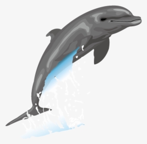 Dolphin Free Content Drawing Clip Art - Vector Dolphins Clipart Png, Transparent Png, Free Download