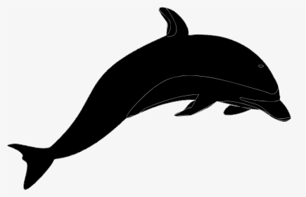 Free Svg Dolphin, HD Png Download, Free Download
