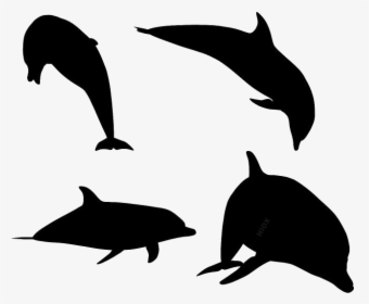 Fish Jumping Png Transparent Images - Dolphin, Png Download, Free Download