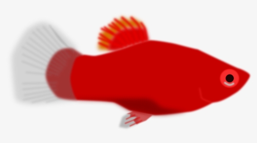 Paper Fish Box Aquarium Crafts, HD Png Download, Free Download
