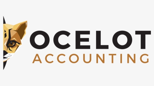 Ocelot Accounting - Graphic Design, HD Png Download, Free Download