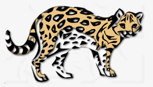 Ocelot - Clouded Leopard, HD Png Download, Free Download