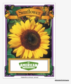 Transparent Sunflower Seeds Png - Vintage Sunflower Seed Packets, Png Download, Free Download