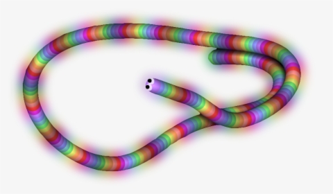 Coral Snake, HD Png Download, Free Download