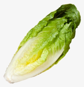 Spring Leafy Greens Hellofresh - Romaine Lettuce, HD Png Download, Free Download