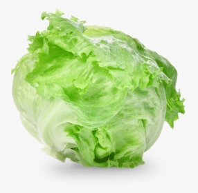 Iceberg Lettuce, HD Png Download, Free Download