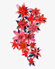 Vector Flowers Design Png, Transparent Png, Free Download