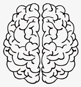 Abstract Brain Line Art - Black And White Brain Png, Transparent Png, Free Download