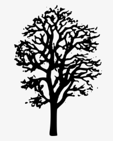 Tree Clipart Black And White Transparent, HD Png Download, Free Download