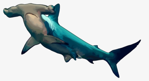 Hammerhead Shark Transparent Background, HD Png Download, Free Download